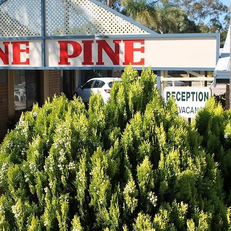 Lone Pine Motel Corowa Εξωτερικό φωτογραφία
