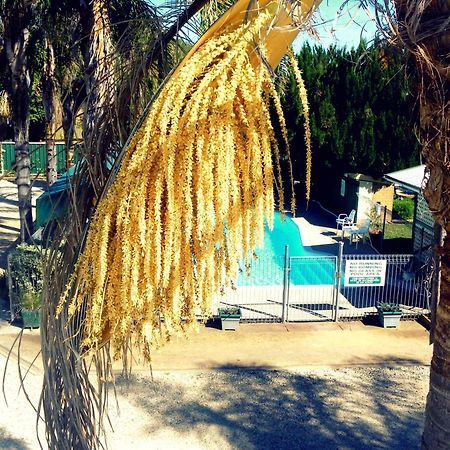 Lone Pine Motel Corowa Εξωτερικό φωτογραφία