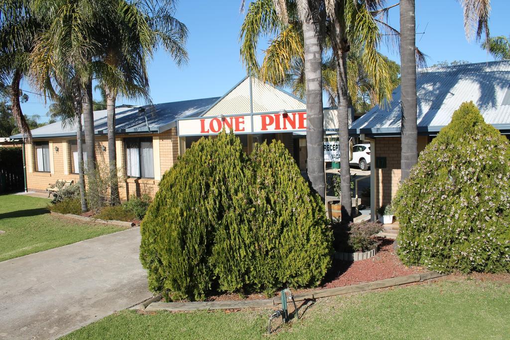 Lone Pine Motel Corowa Εξωτερικό φωτογραφία