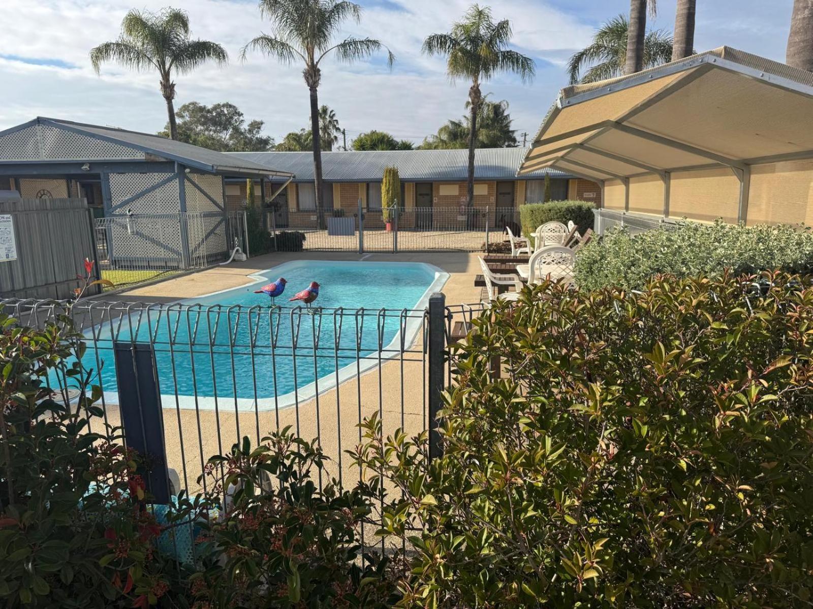 Lone Pine Motel Corowa Εξωτερικό φωτογραφία