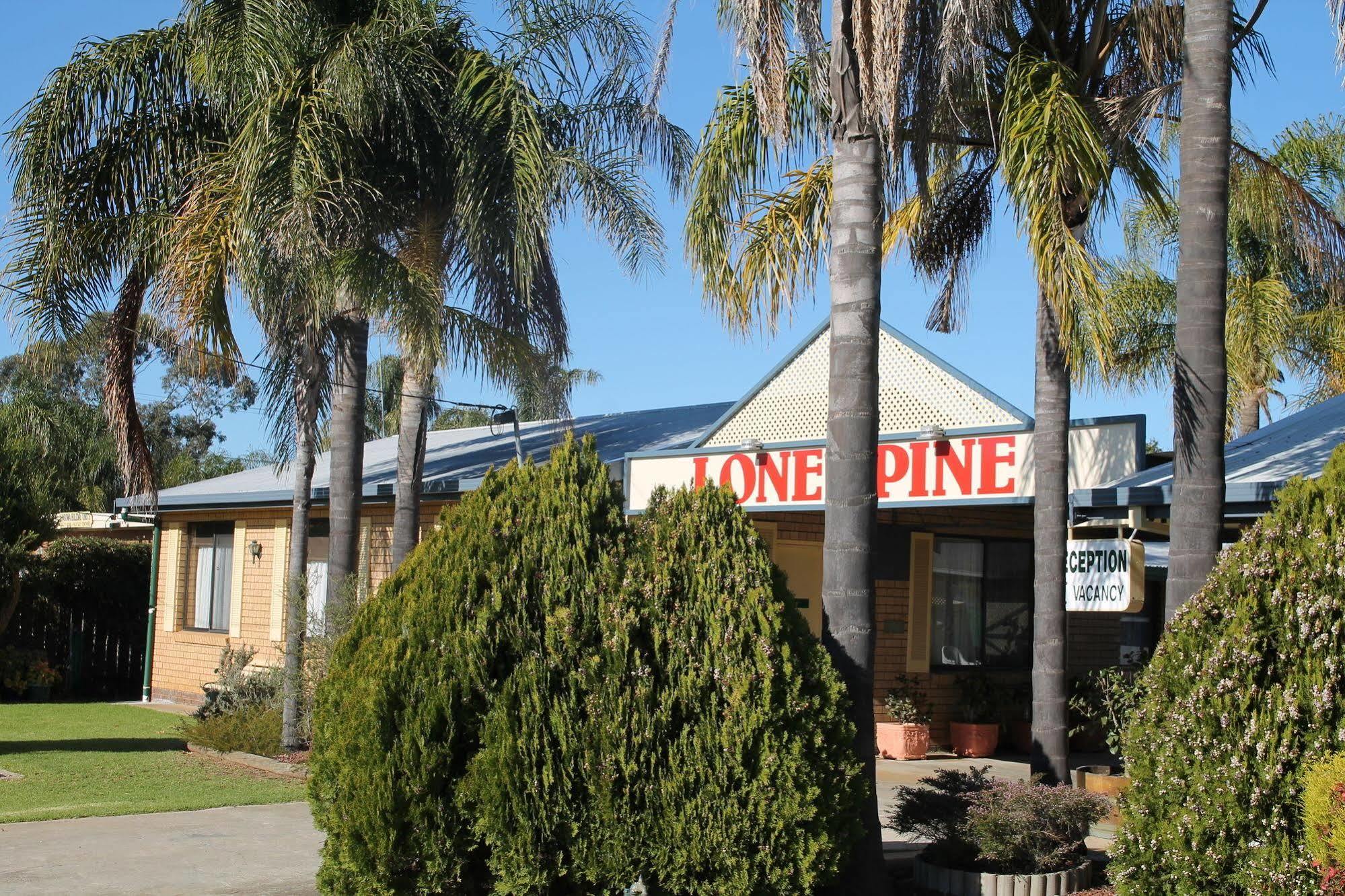 Lone Pine Motel Corowa Εξωτερικό φωτογραφία
